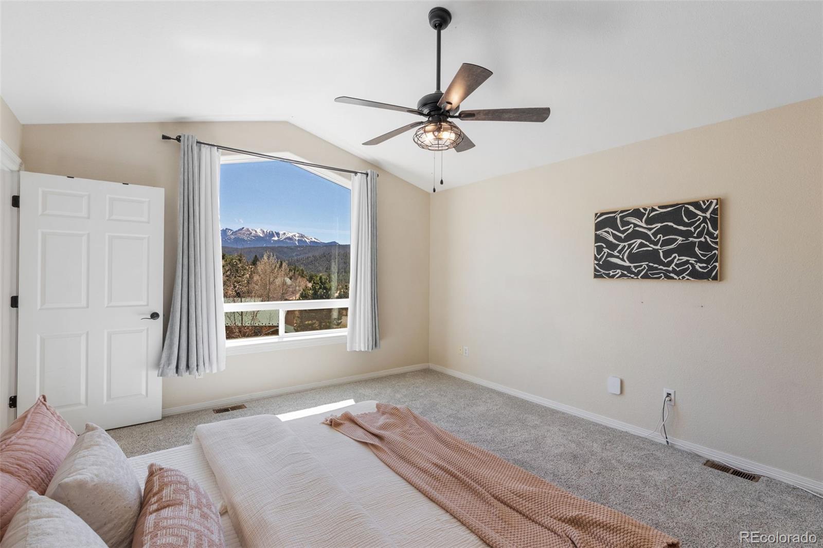 MLS Image #19 for 120  red clover court,woodland park, Colorado