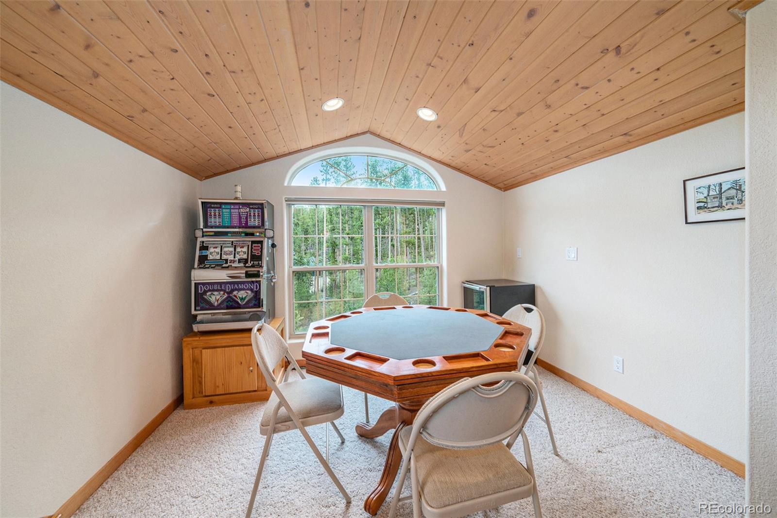 MLS Image #33 for 217  county road 6660 ,grand lake, Colorado