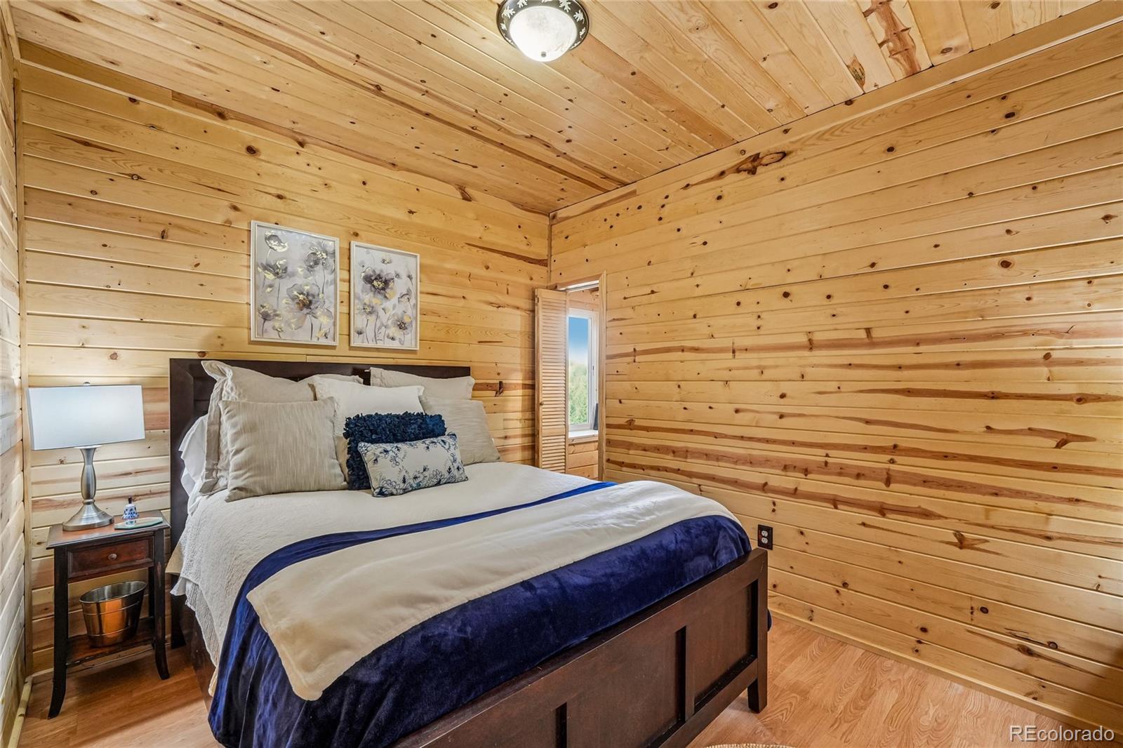 MLS Image #23 for 71  red cloud drive,como, Colorado