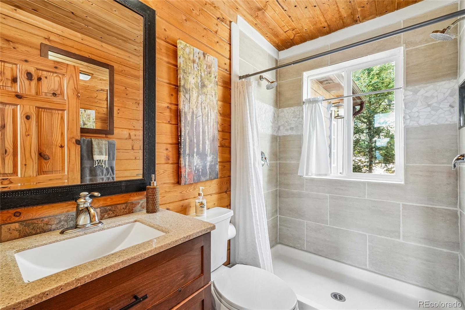 MLS Image #28 for 71  red cloud drive,como, Colorado