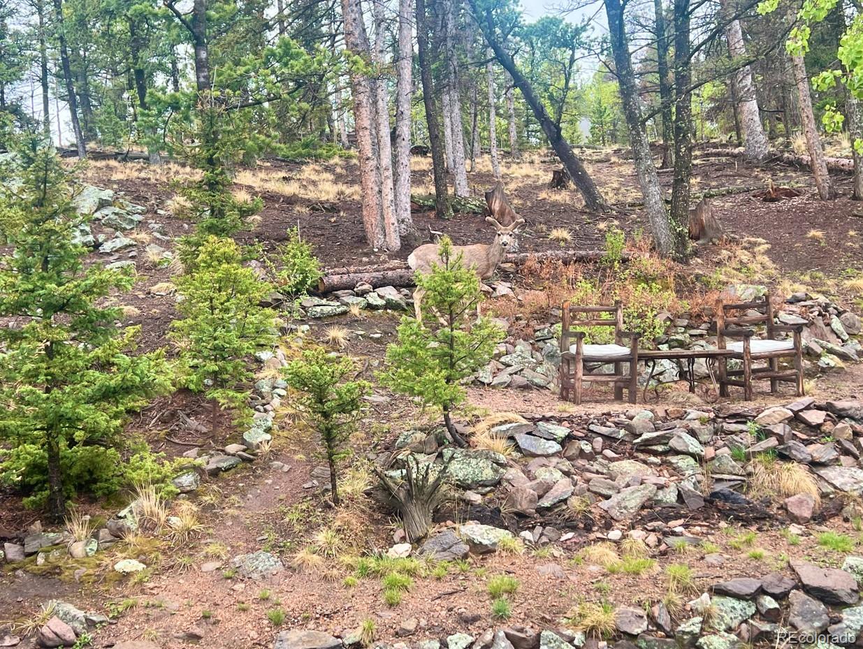 MLS Image #47 for 71  red cloud drive,como, Colorado