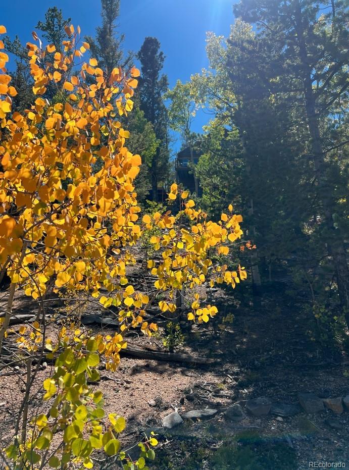 MLS Image #48 for 71  red cloud drive,como, Colorado