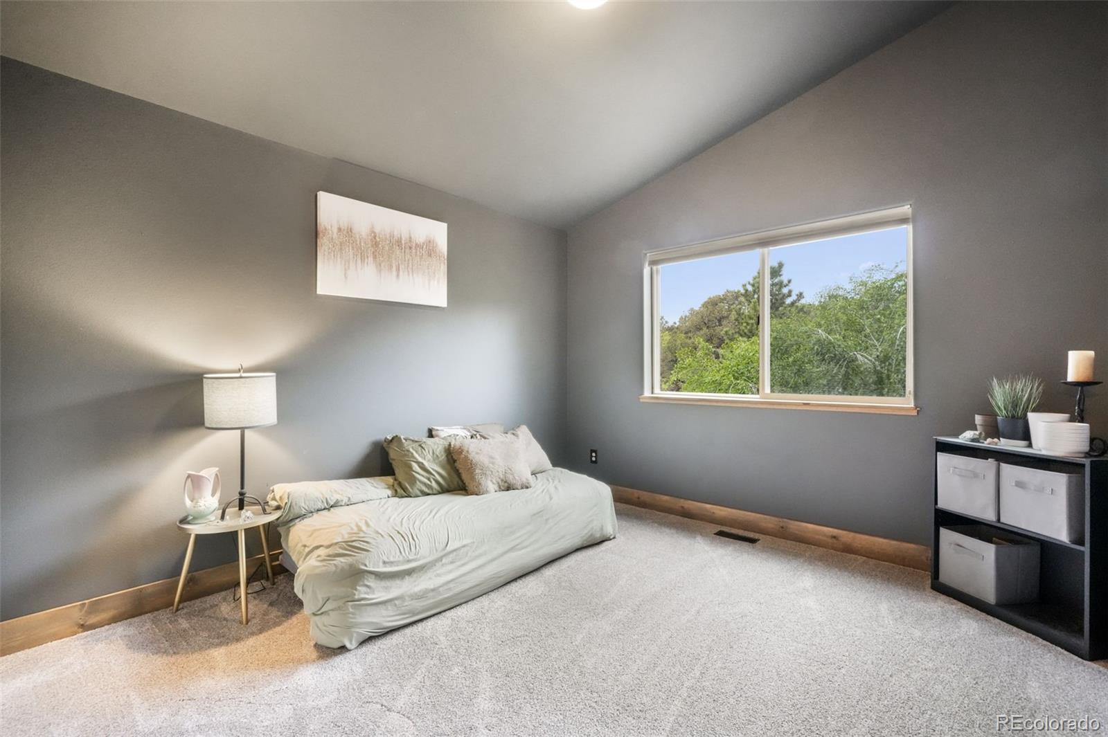 MLS Image #19 for 15978  cala rojo drive,colorado springs, Colorado
