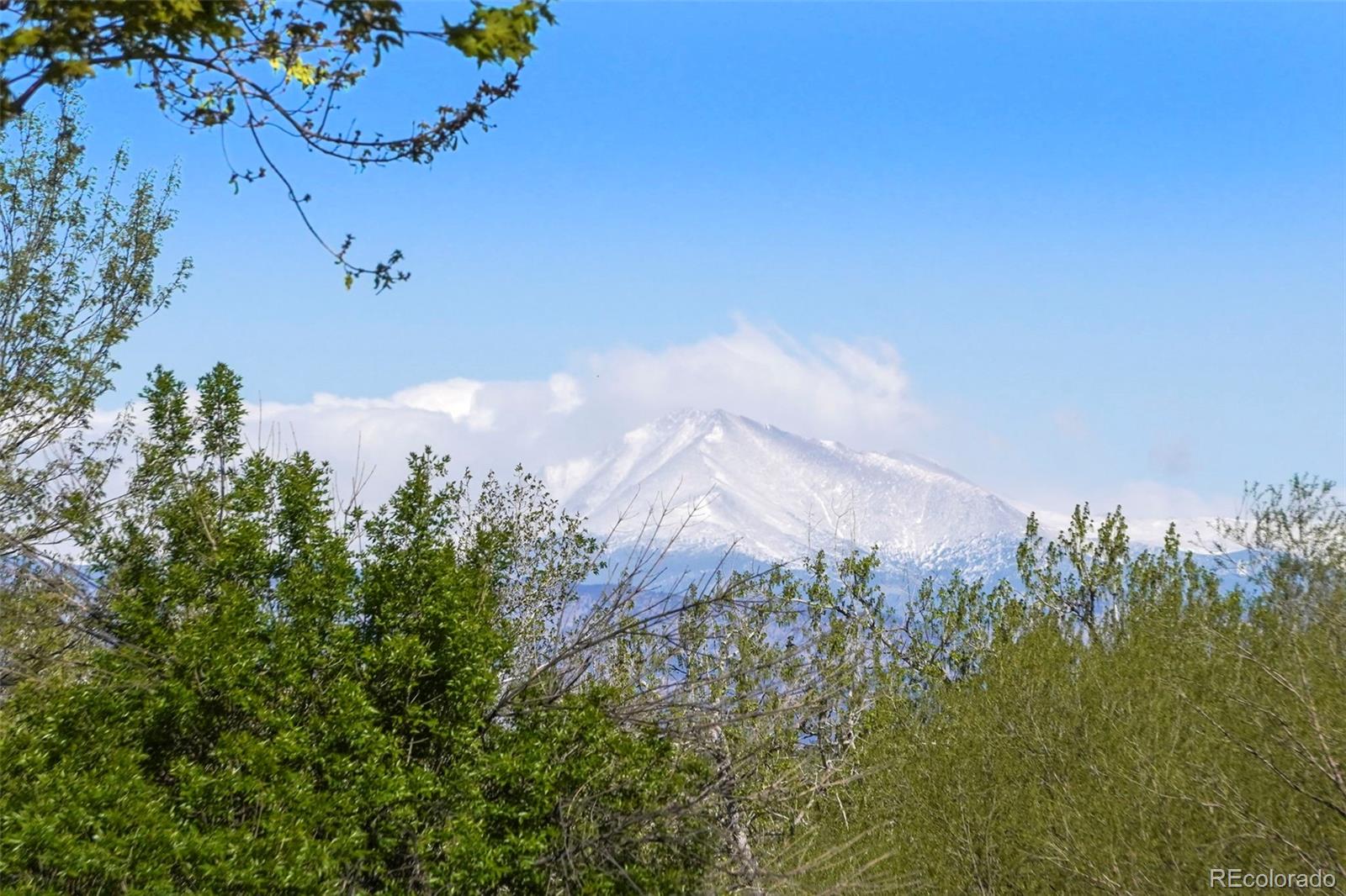 MLS Image #20 for 10930  tennyson court,westminster, Colorado