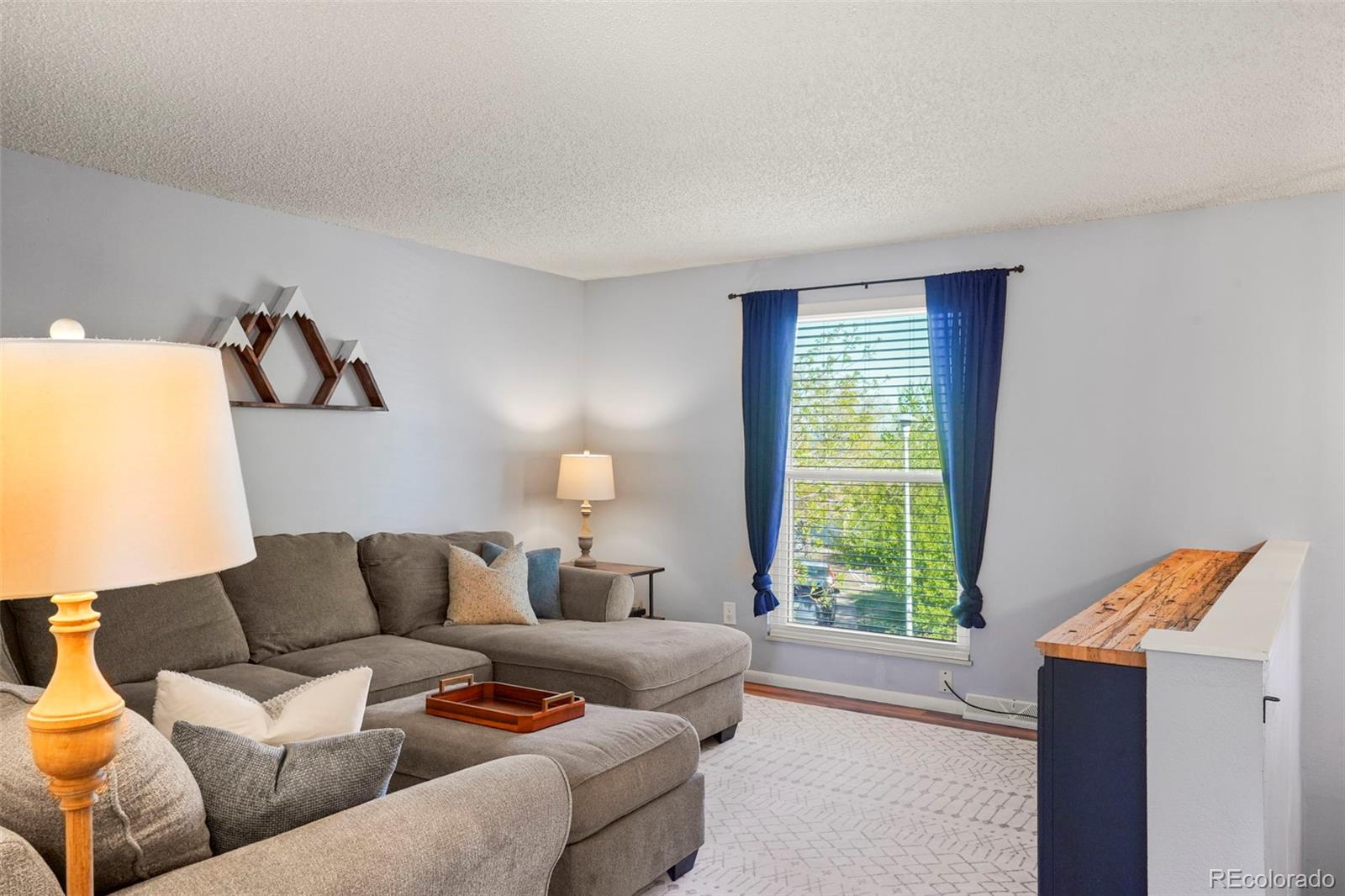 MLS Image #6 for 10930  tennyson court,westminster, Colorado