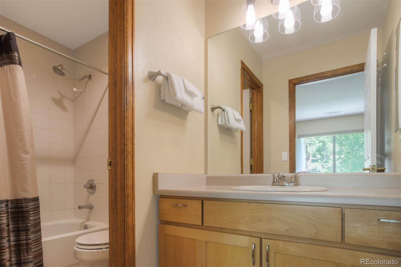 MLS Image #14 for 285  kestrel lane,silverthorne, Colorado