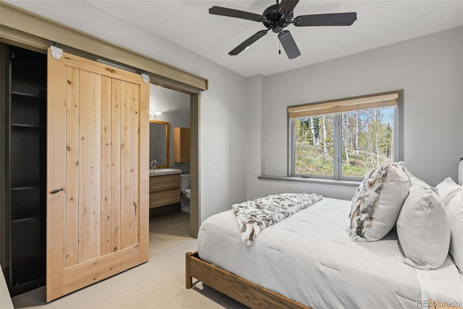 MLS Image #18 for 2800  hunters knob road,silverthorne, Colorado