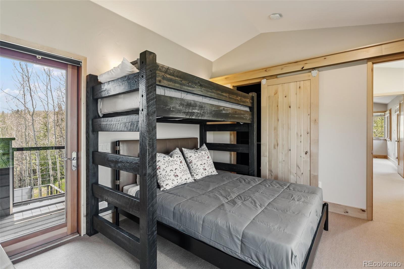 MLS Image #25 for 2800  hunters knob road,silverthorne, Colorado