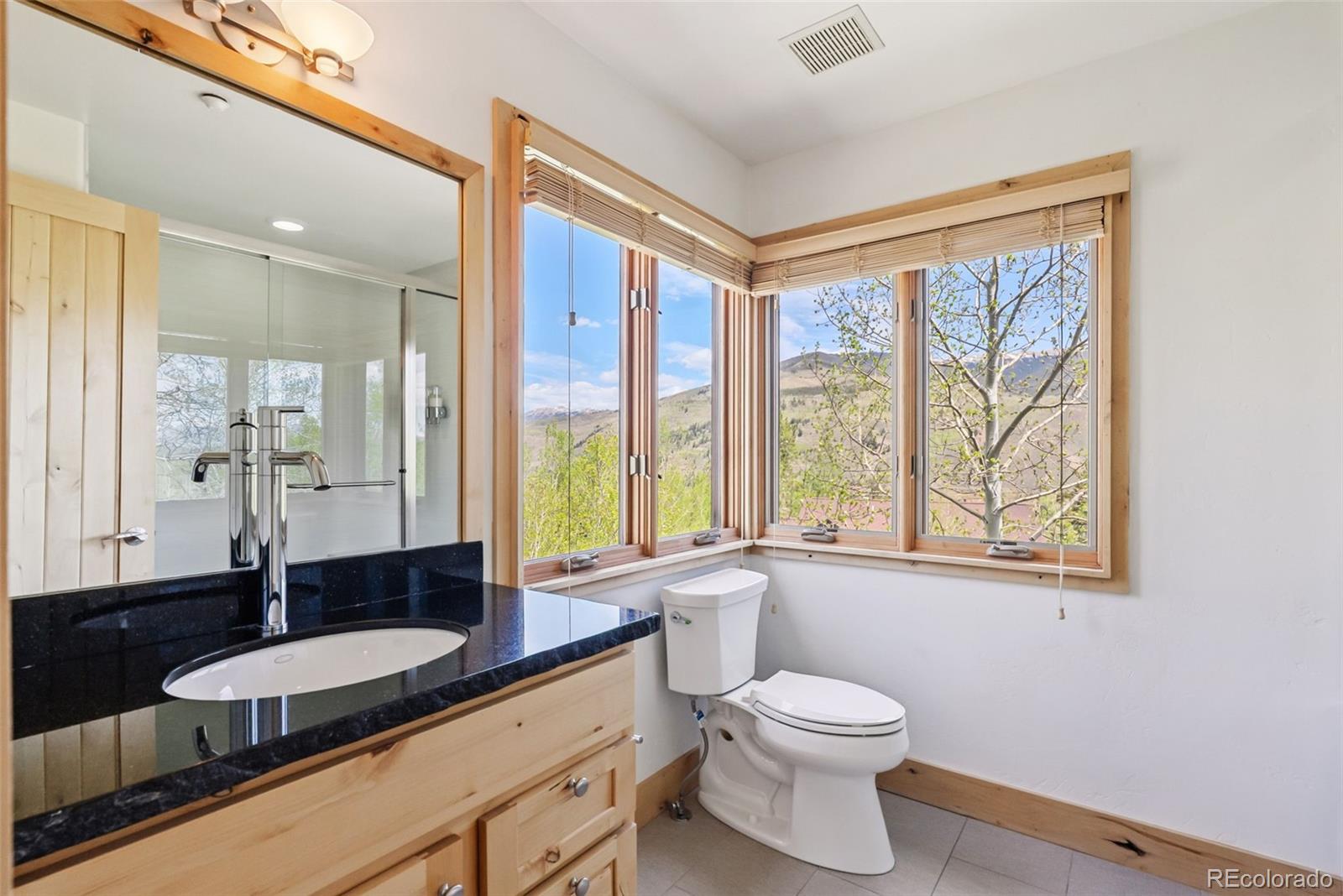 MLS Image #26 for 2800  hunters knob road,silverthorne, Colorado