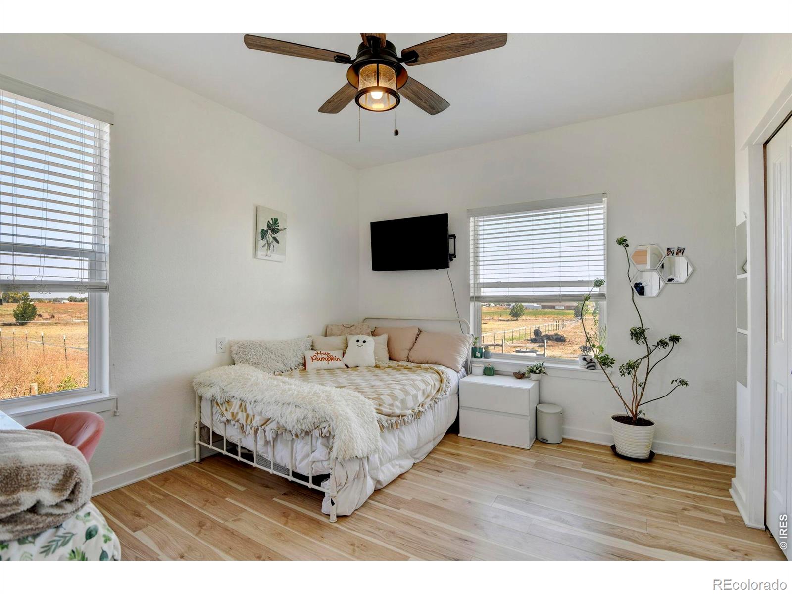 MLS Image #17 for 10691  county road 23 ,fort lupton, Colorado