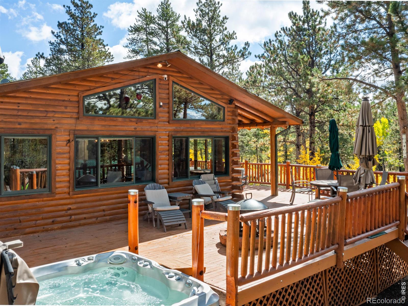 MLS Image #1 for 747  coyote hill road,allenspark, Colorado