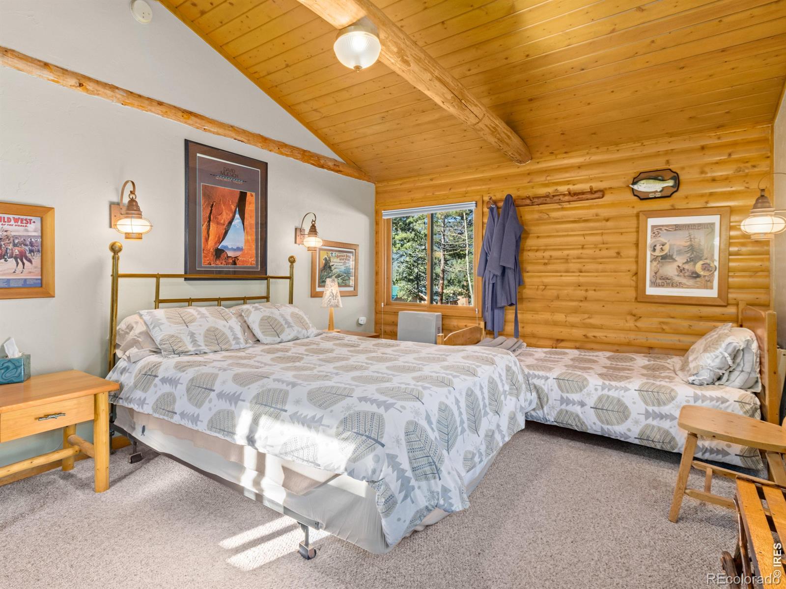 MLS Image #10 for 747  coyote hill road,allenspark, Colorado
