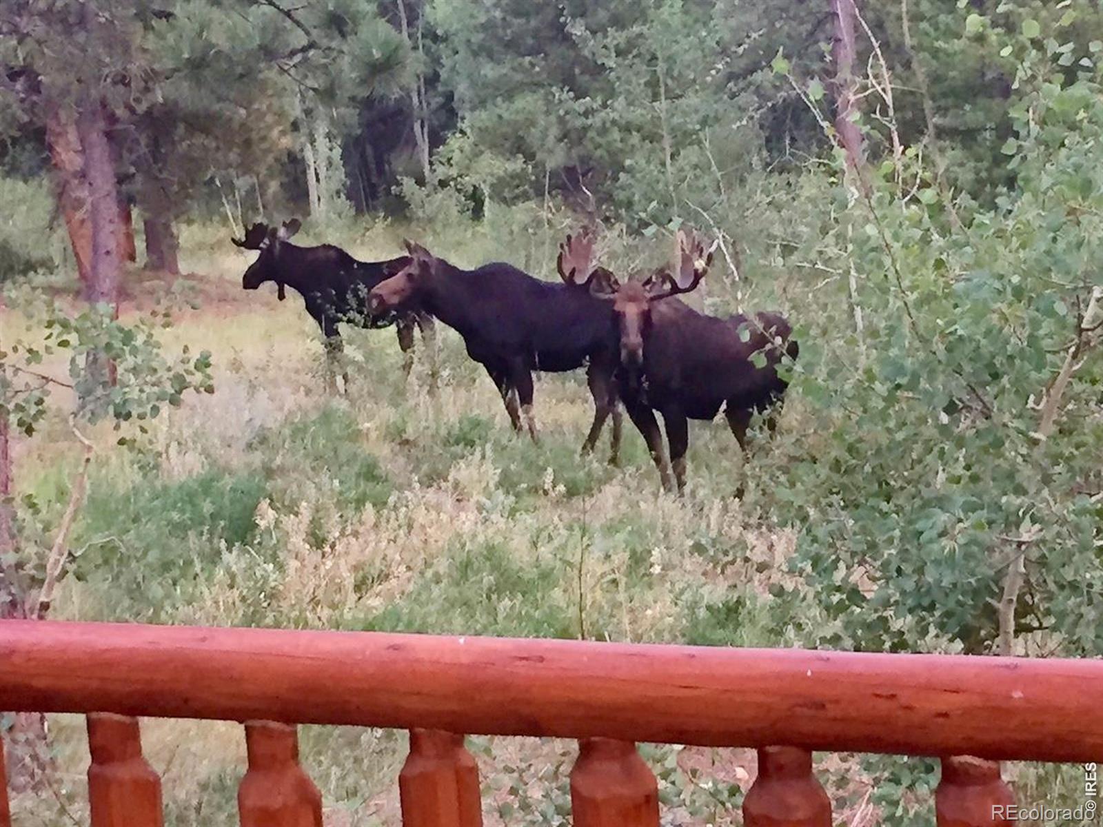 MLS Image #12 for 747  coyote hill road,allenspark, Colorado