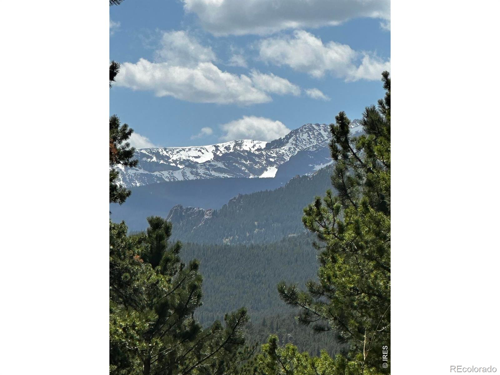 MLS Image #13 for 747  coyote hill road,allenspark, Colorado