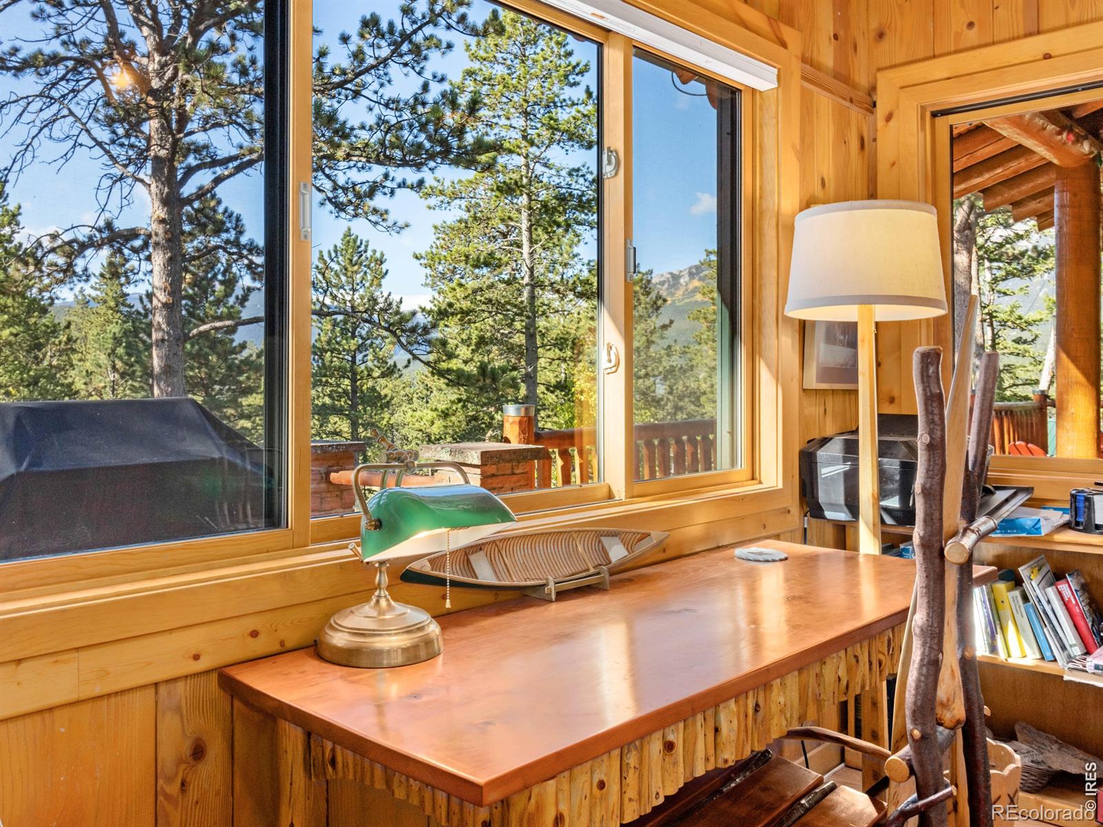 MLS Image #22 for 747  coyote hill road,allenspark, Colorado