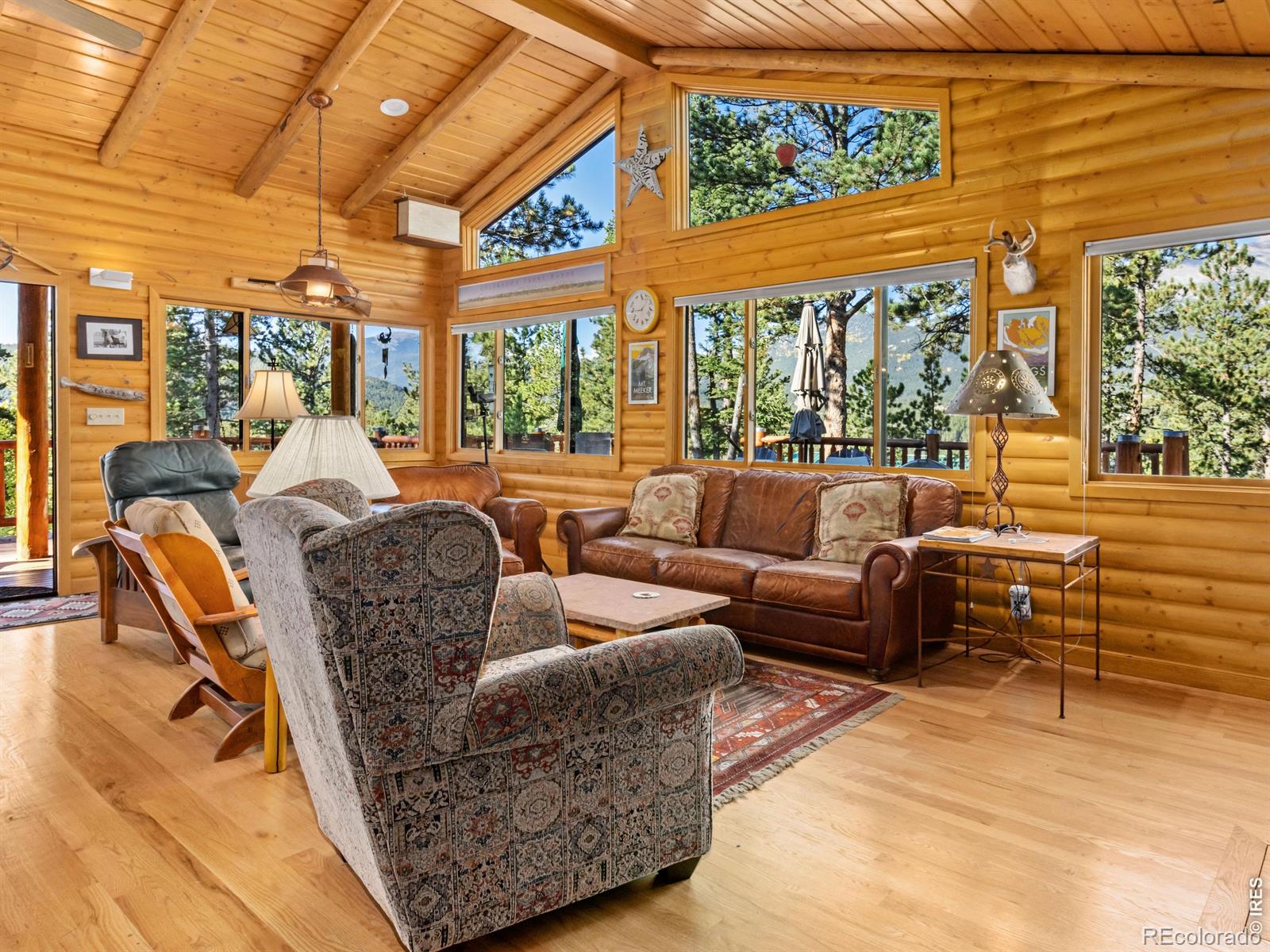 MLS Image #24 for 747  coyote hill road,allenspark, Colorado