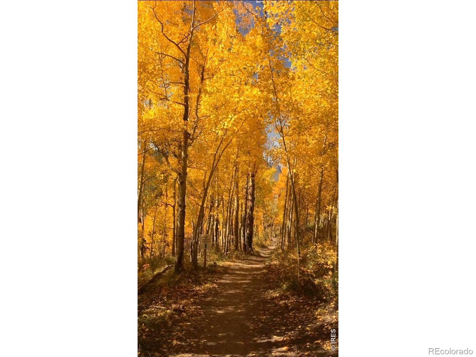 MLS Image #38 for 747  coyote hill road,allenspark, Colorado