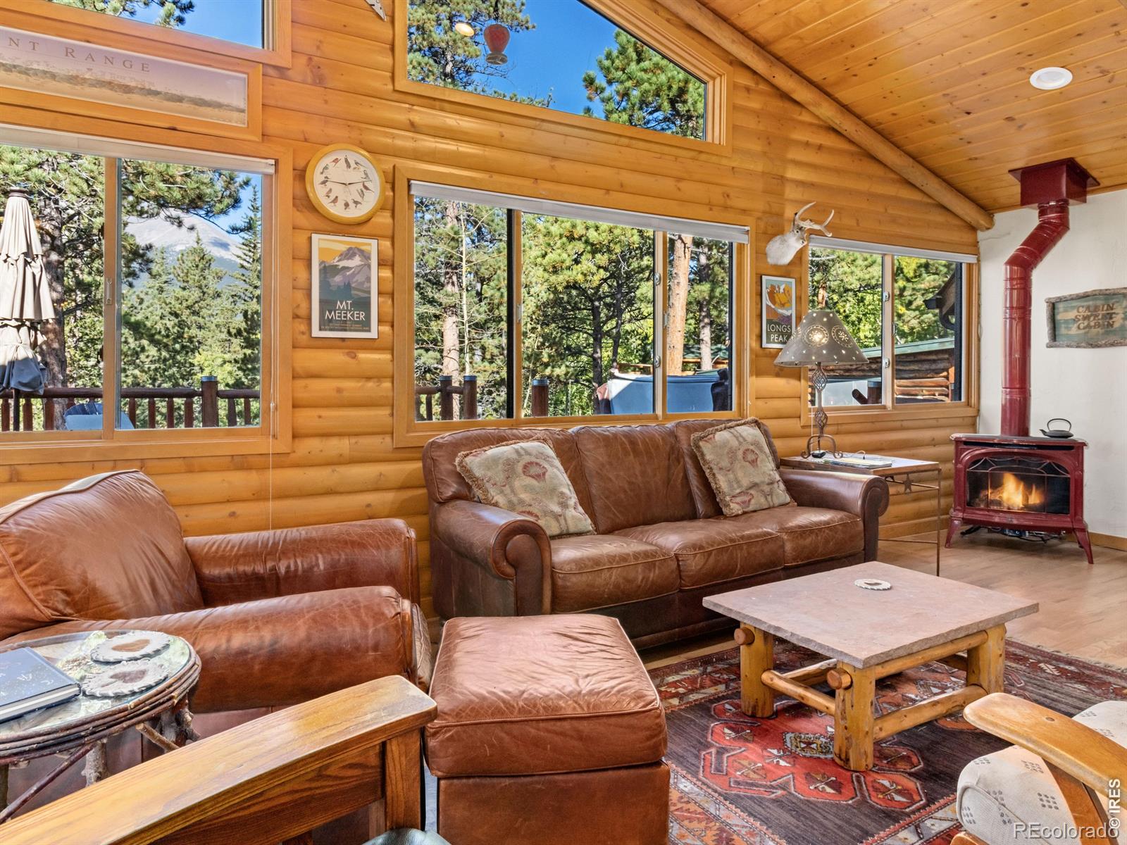 MLS Image #4 for 747  coyote hill road,allenspark, Colorado