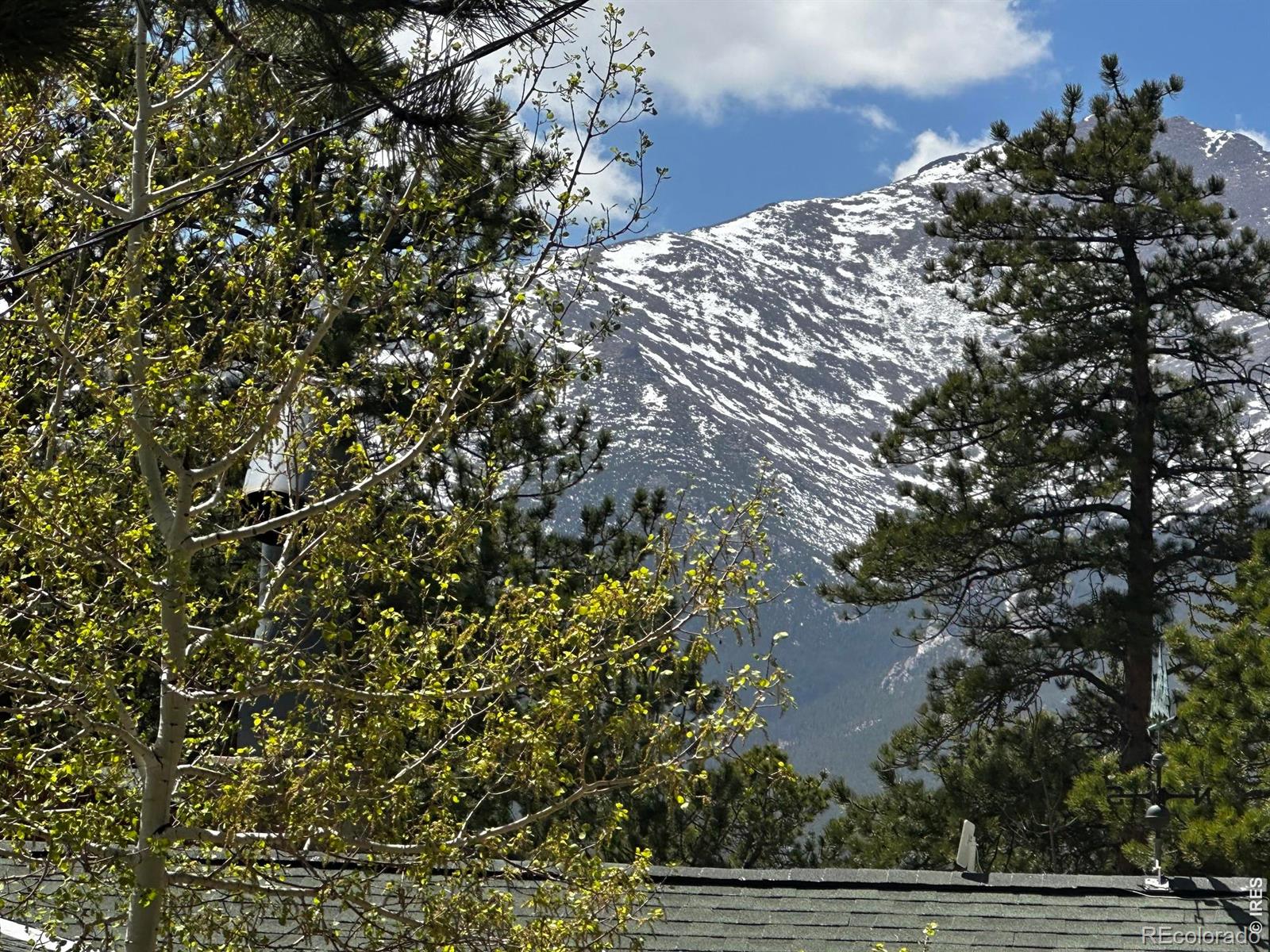 MLS Image #41 for 747  coyote hill road,allenspark, Colorado