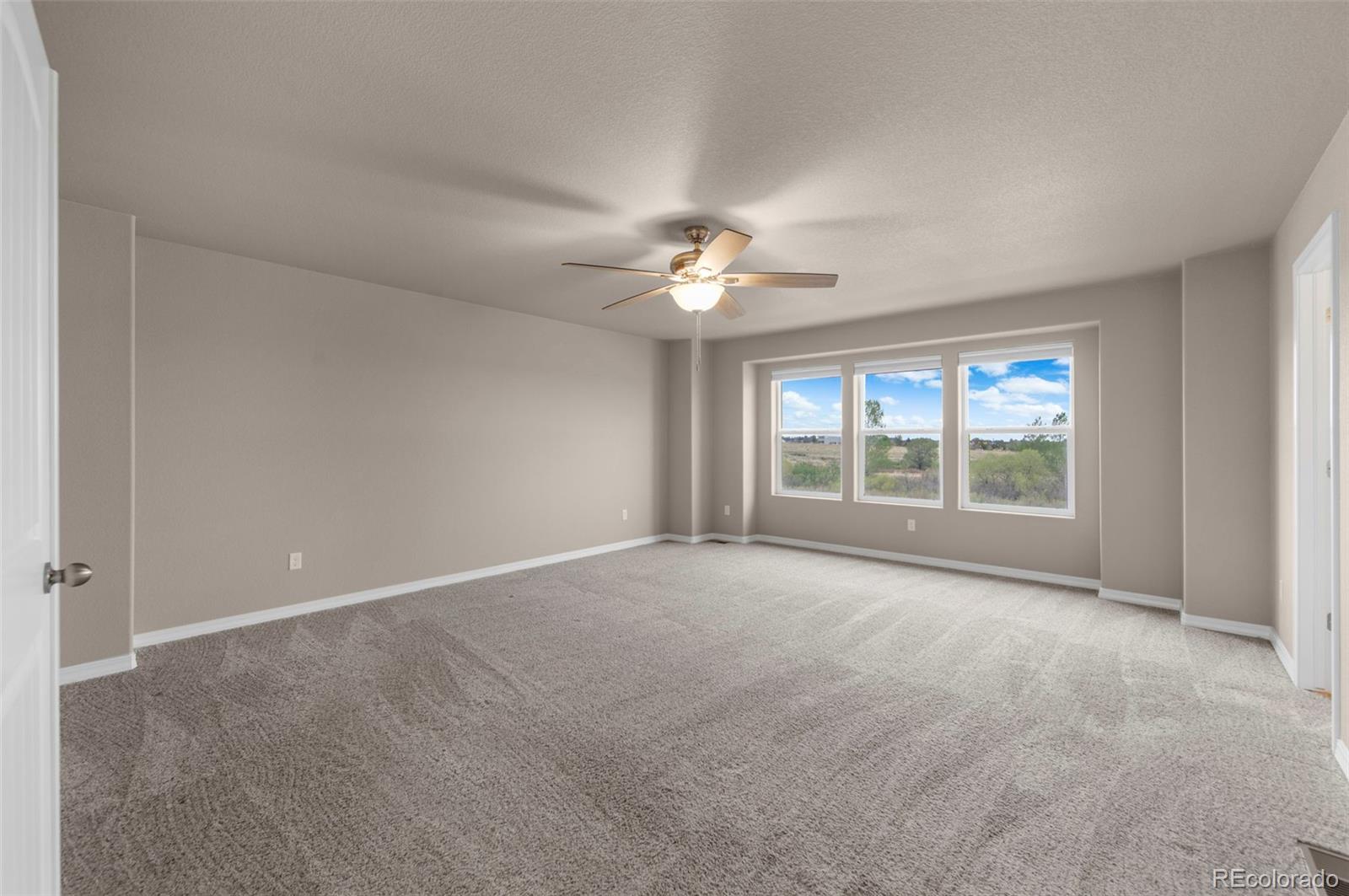 MLS Image #20 for 7568  cat tail creek drive,colorado springs, Colorado