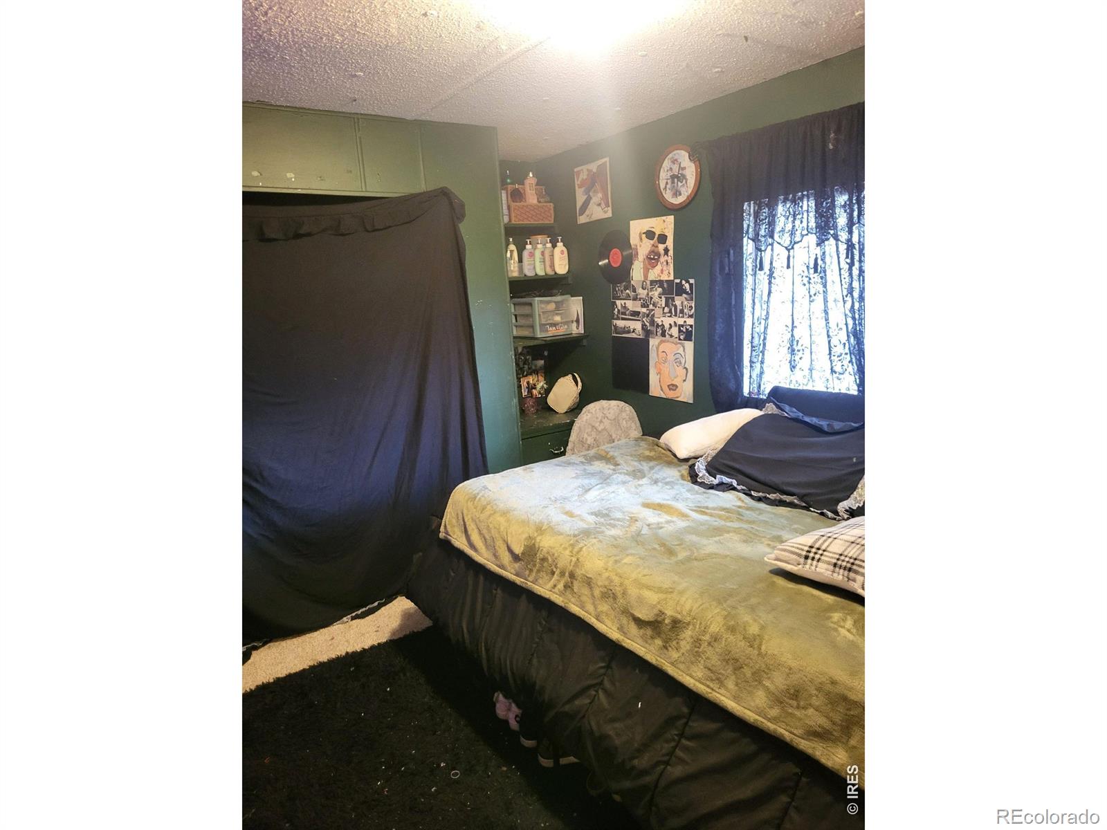 MLS Image #20 for 9069  mandel street,denver, Colorado
