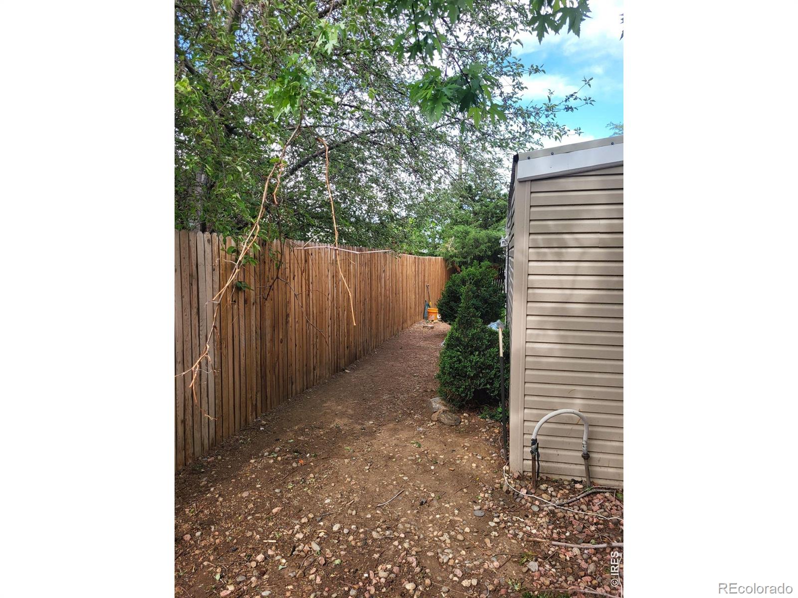 MLS Image #5 for 9069  mandel street,denver, Colorado