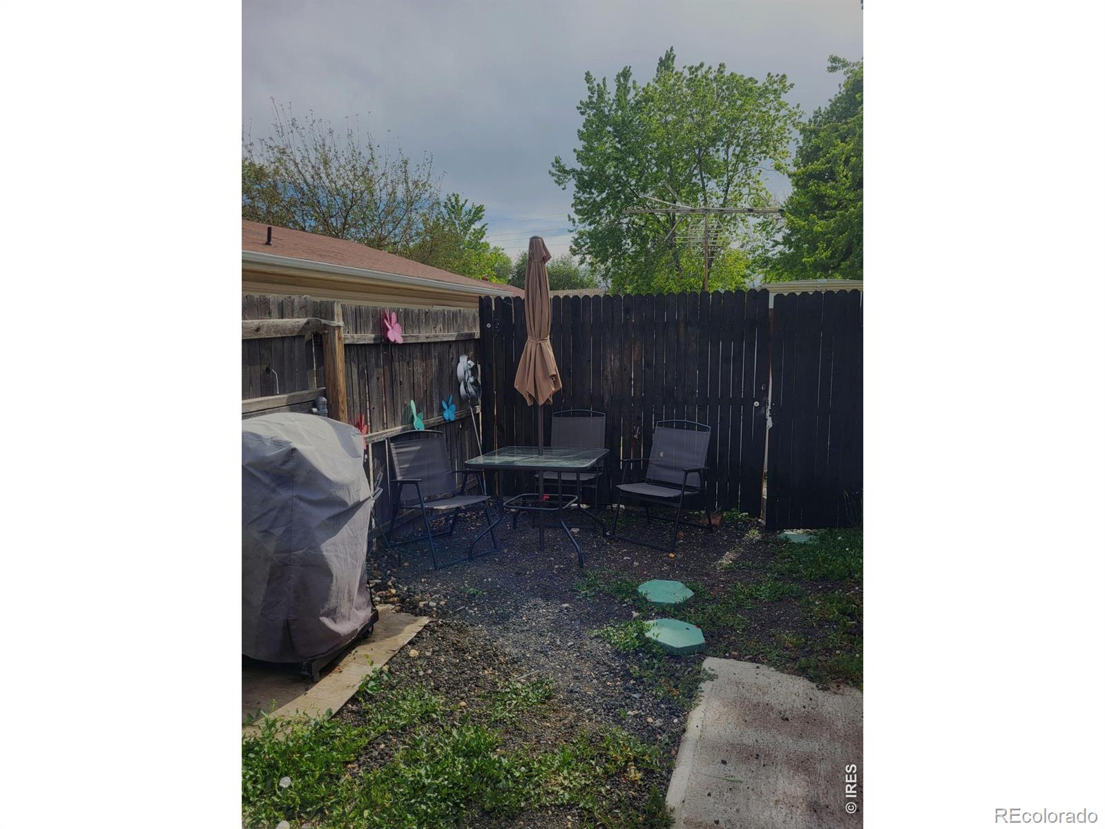 MLS Image #6 for 9069  mandel street,denver, Colorado