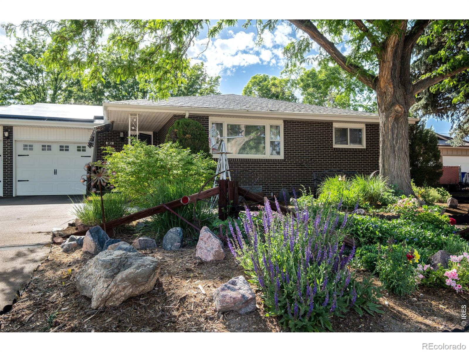 MLS Image #2 for 2145  buena vista drive,greeley, Colorado