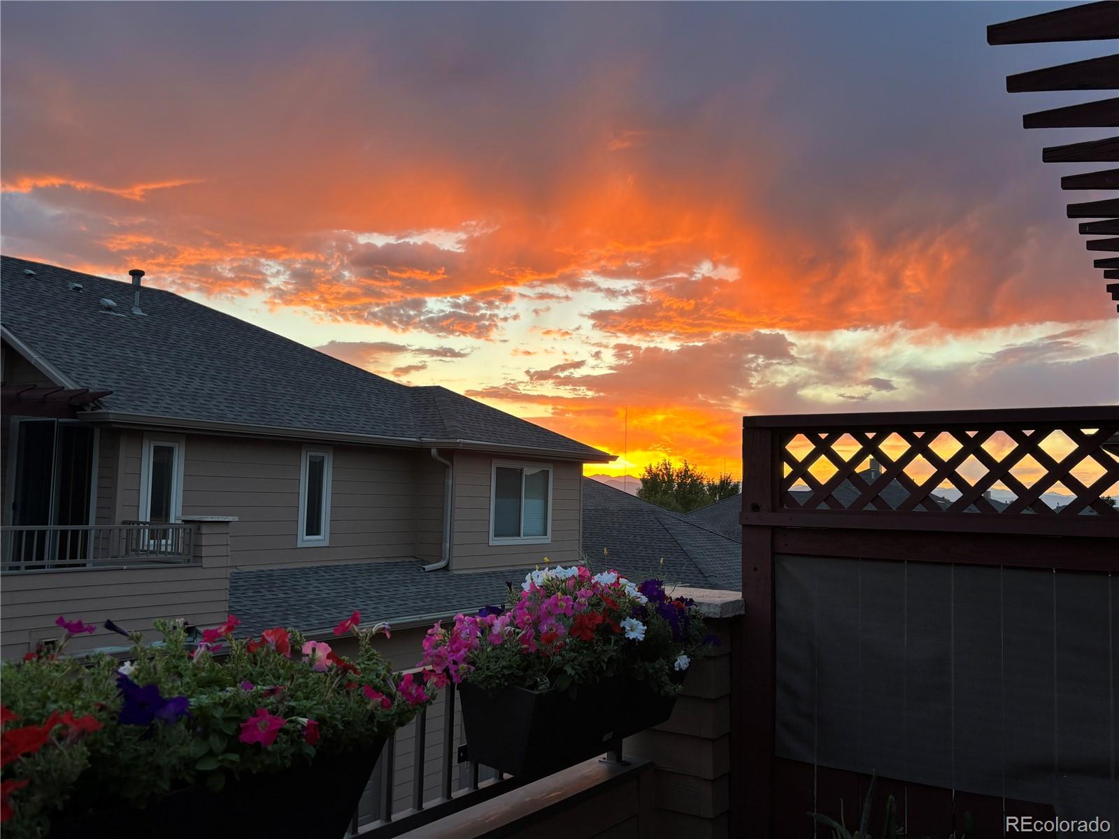 MLS Image #22 for 8645  gold peak place,highlands ranch, Colorado