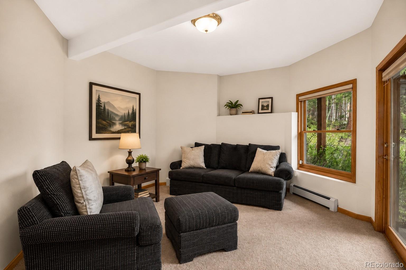 MLS Image #29 for 13338  elsie road,conifer, Colorado