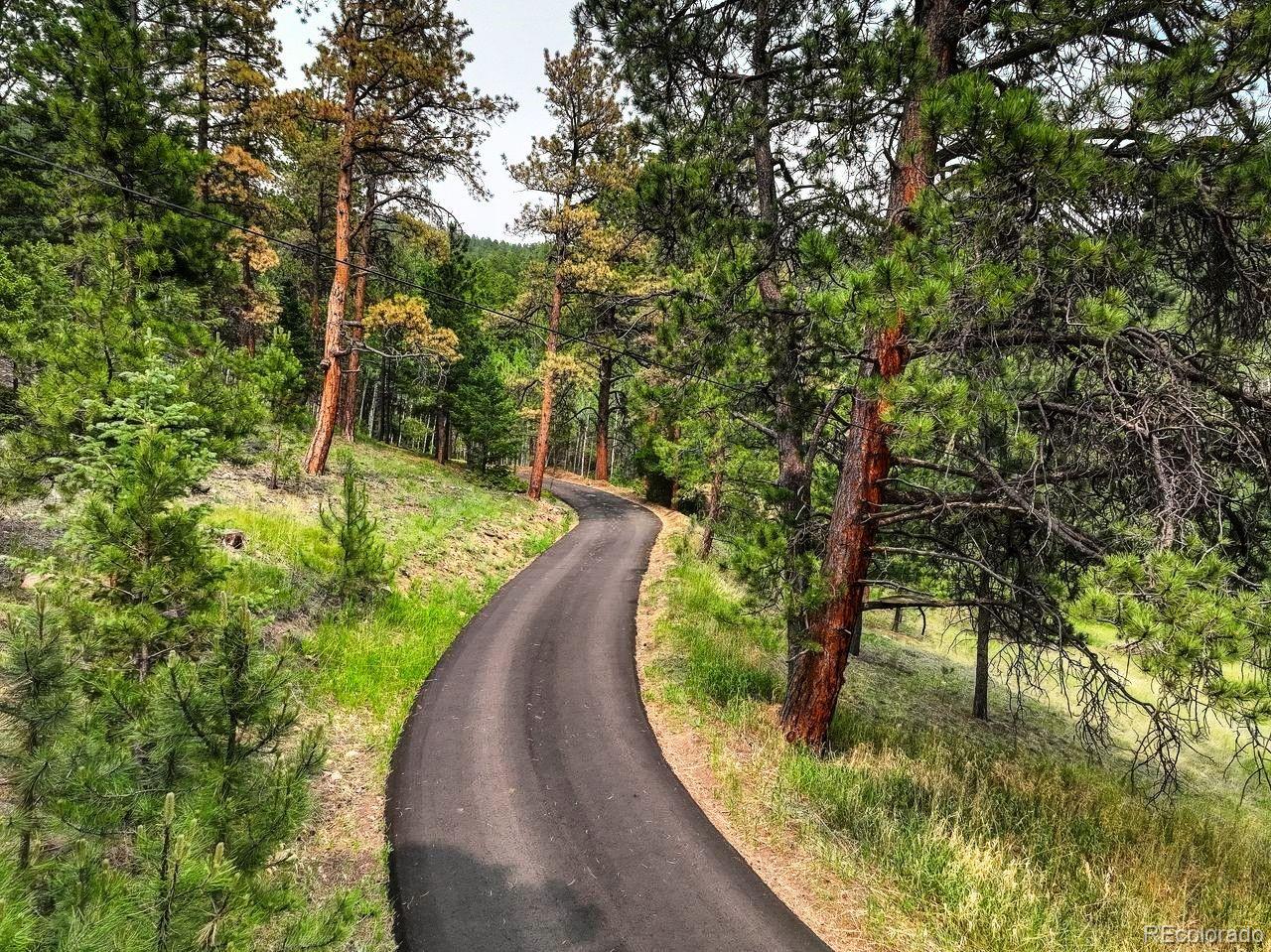 MLS Image #43 for 13338  elsie road,conifer, Colorado