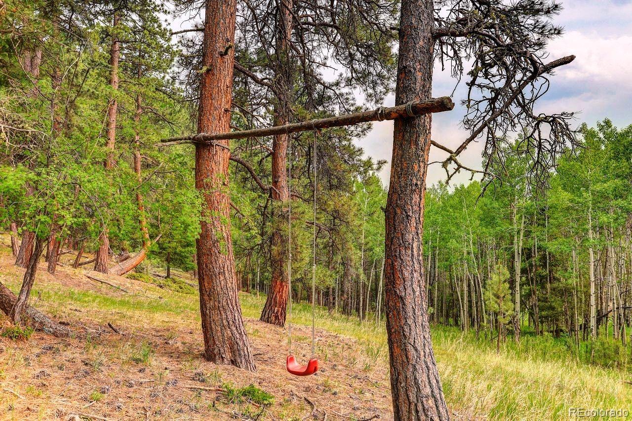 MLS Image #45 for 13338  elsie road,conifer, Colorado