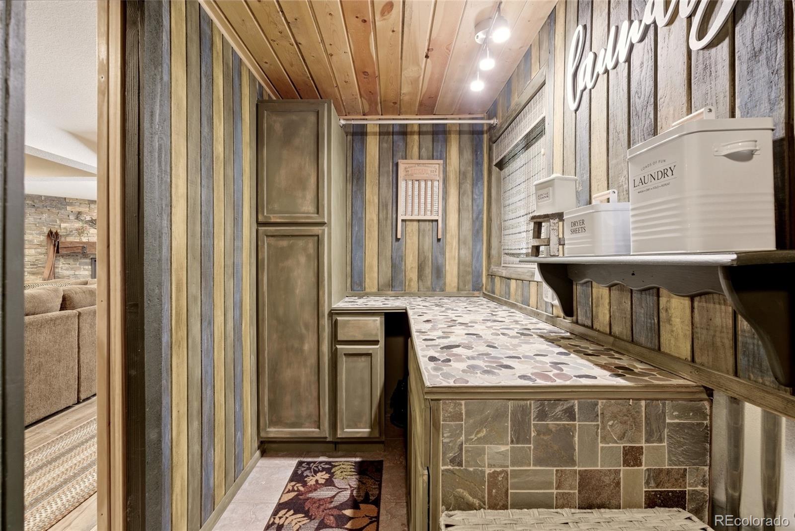 MLS Image #19 for 102  insmont drive,bailey, Colorado