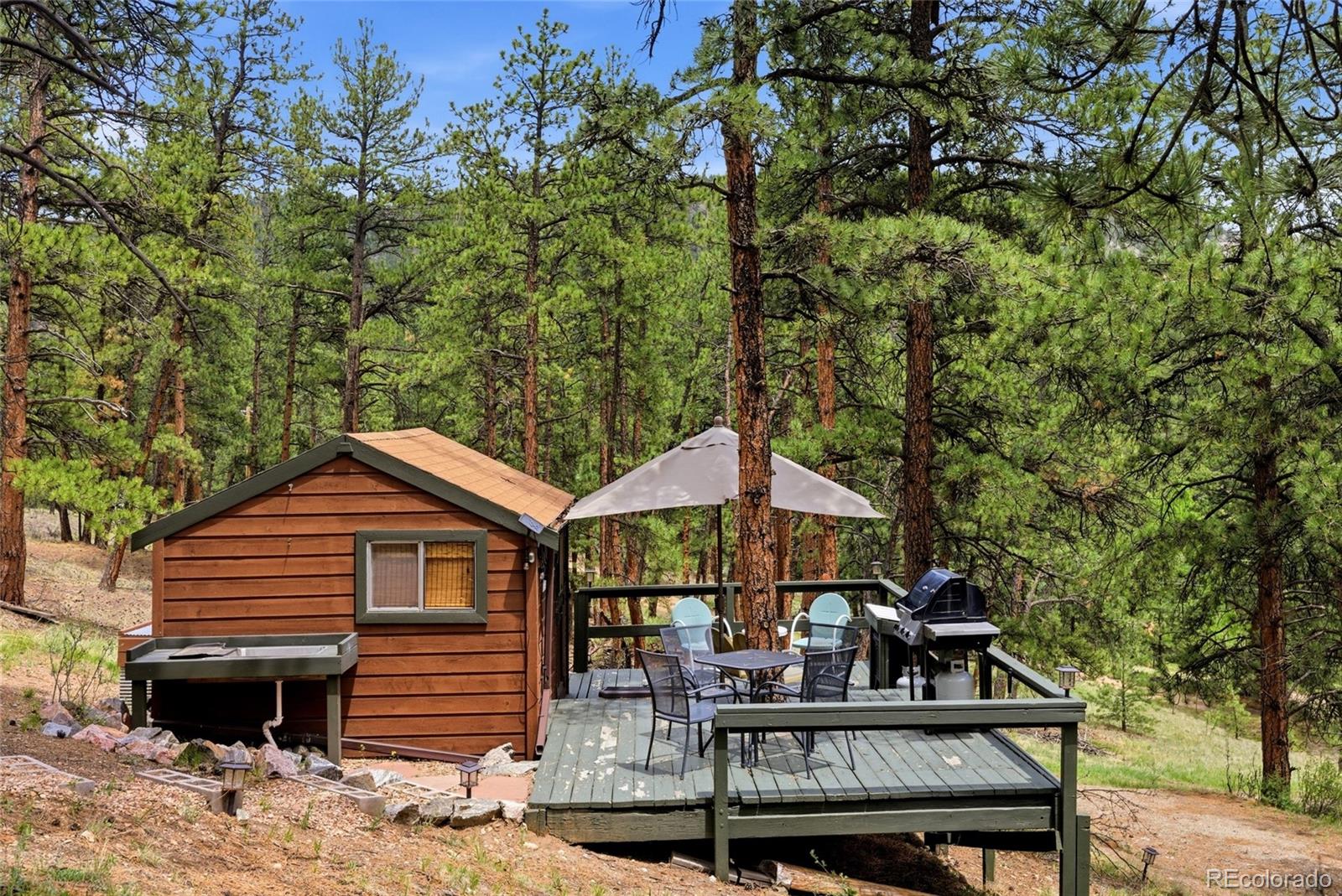 MLS Image #34 for 102  insmont drive,bailey, Colorado