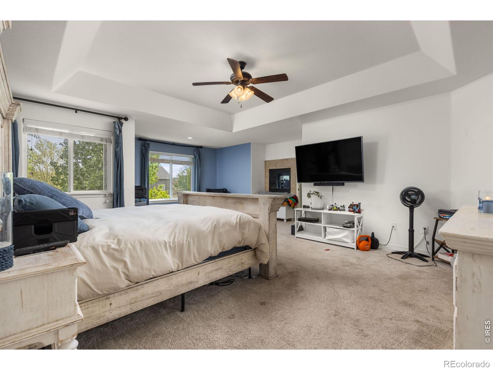 MLS Image #20 for 7409  rosecroft drive,windsor, Colorado