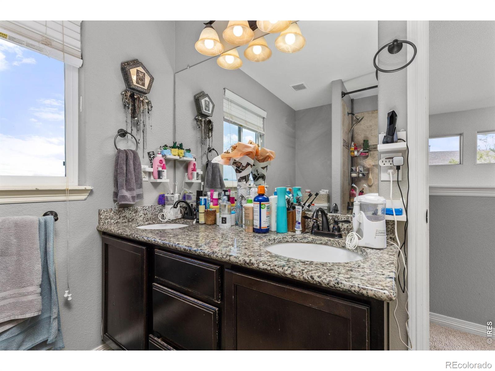 MLS Image #29 for 7409  rosecroft drive,windsor, Colorado