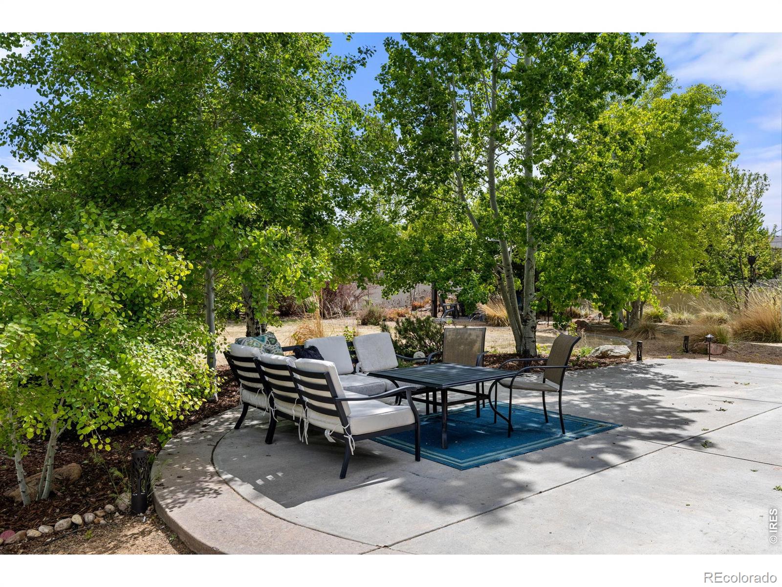 MLS Image #33 for 7409  rosecroft drive,windsor, Colorado