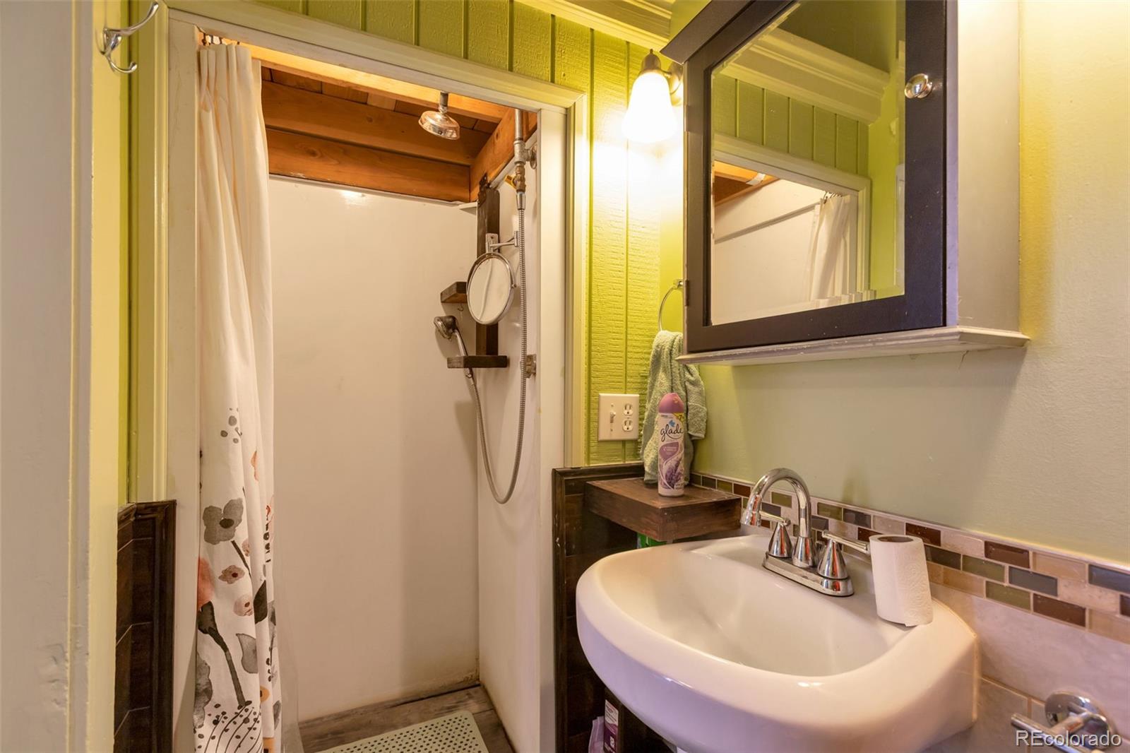 MLS Image #12 for 230  casey street,central city, Colorado