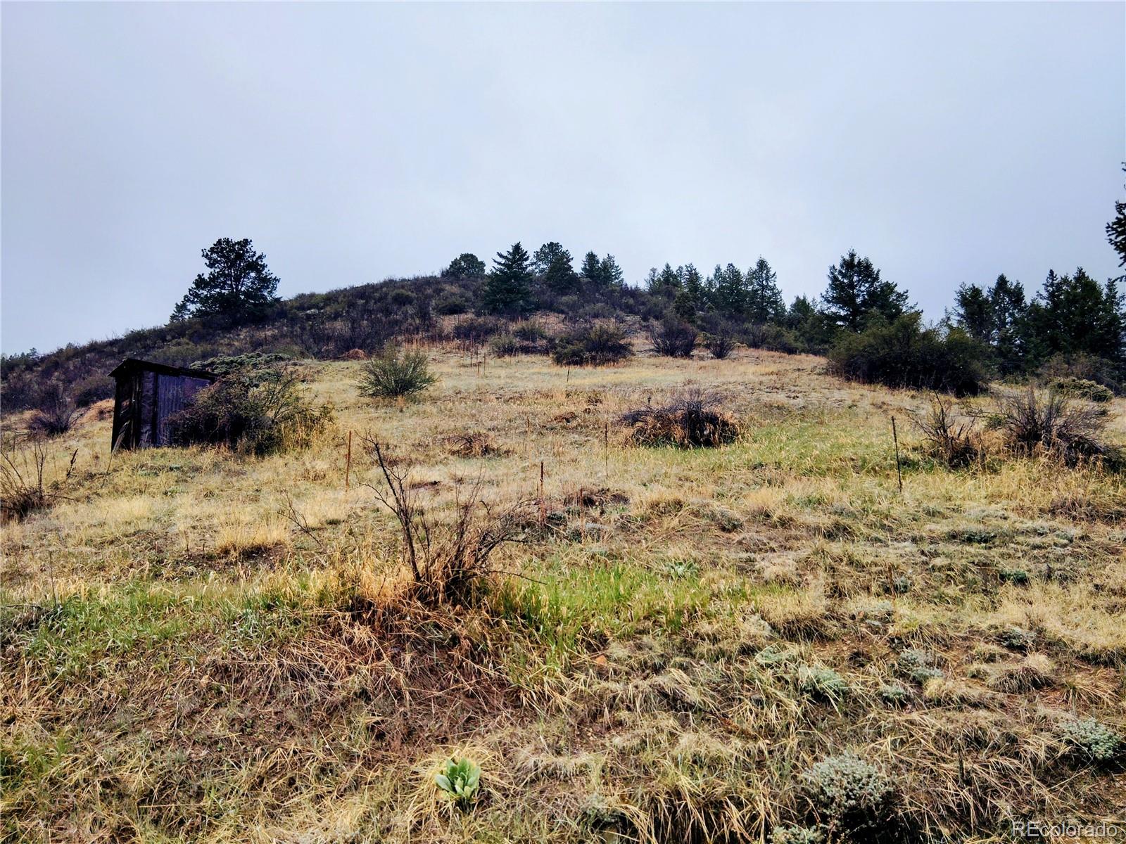MLS Image #20 for 230  casey street,central city, Colorado