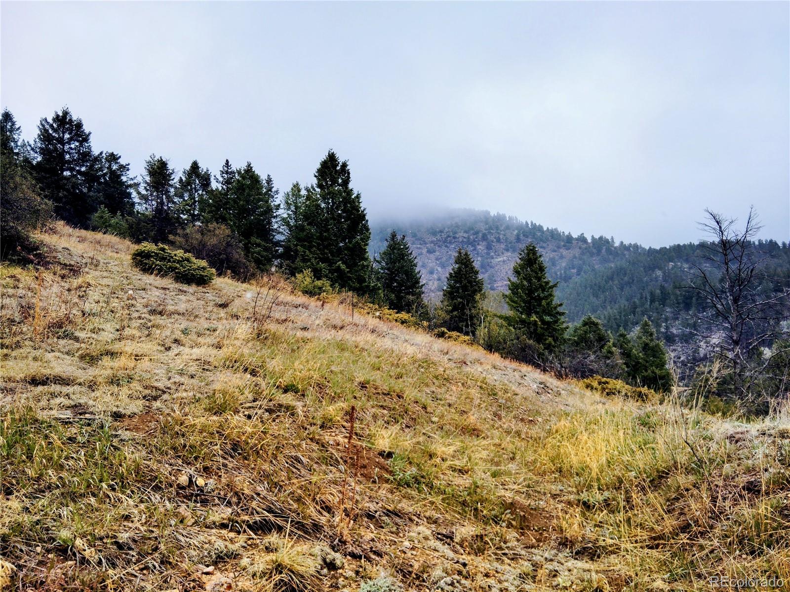 MLS Image #21 for 230  casey street,central city, Colorado