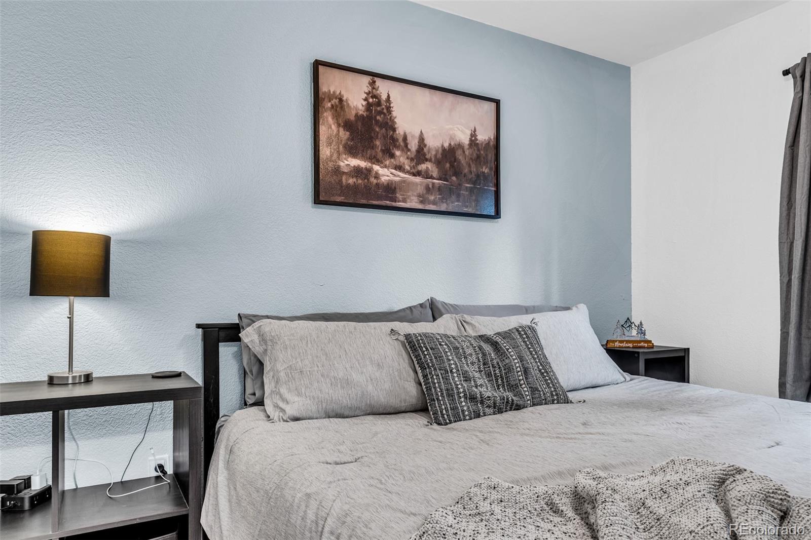 MLS Image #12 for 386  prunes place,fairplay, Colorado