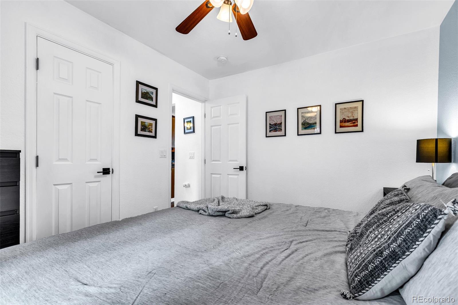 MLS Image #15 for 386  prunes place,fairplay, Colorado