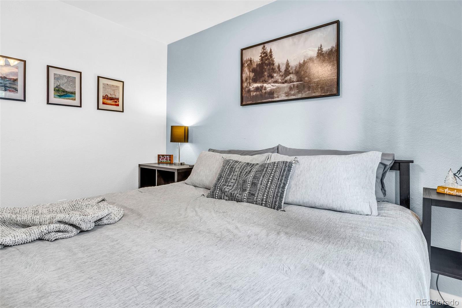 MLS Image #16 for 386  prunes place,fairplay, Colorado