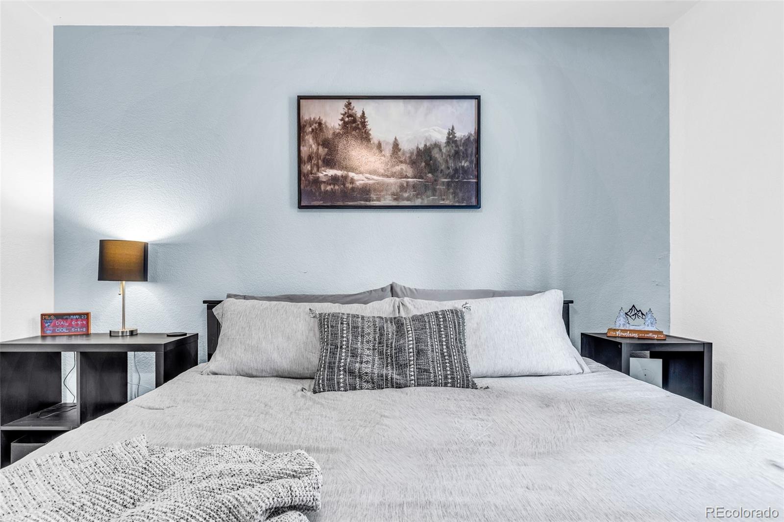 MLS Image #17 for 386  prunes place,fairplay, Colorado