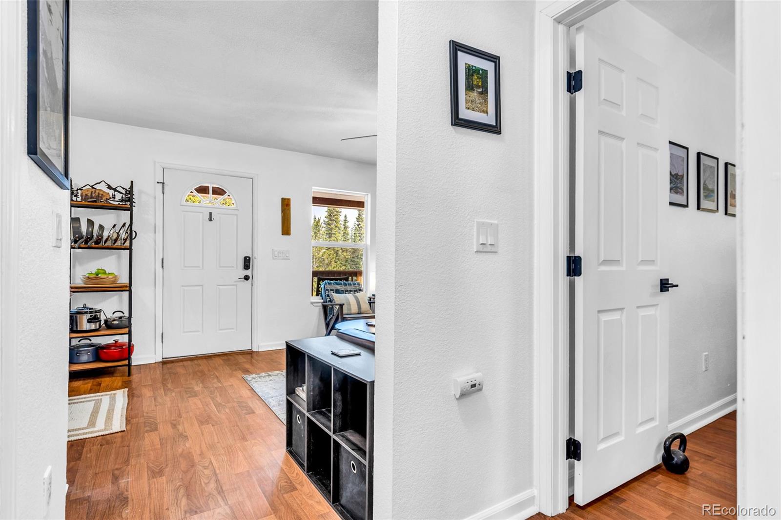 MLS Image #18 for 386  prunes place,fairplay, Colorado