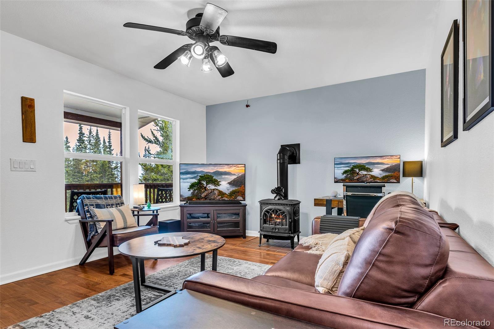 MLS Image #2 for 386  prunes place,fairplay, Colorado