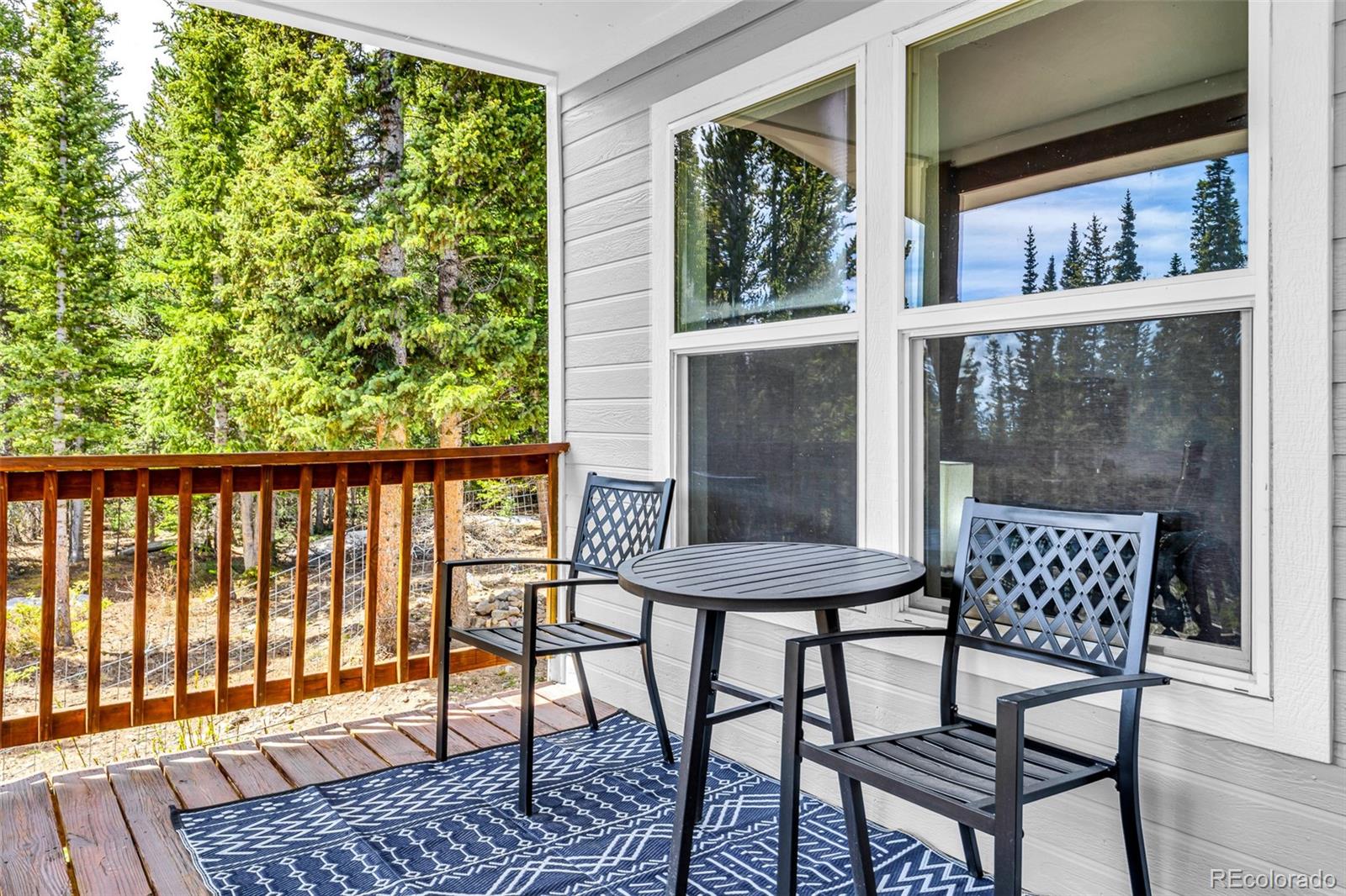 MLS Image #22 for 386  prunes place,fairplay, Colorado