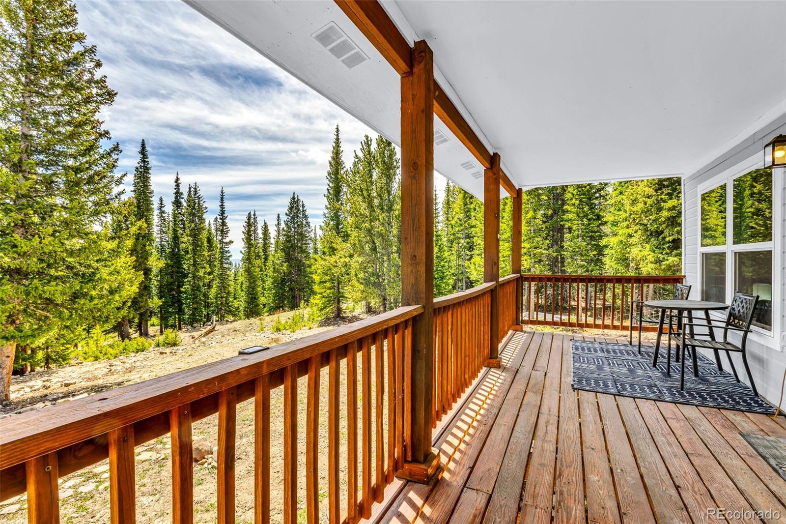MLS Image #23 for 386  prunes place,fairplay, Colorado