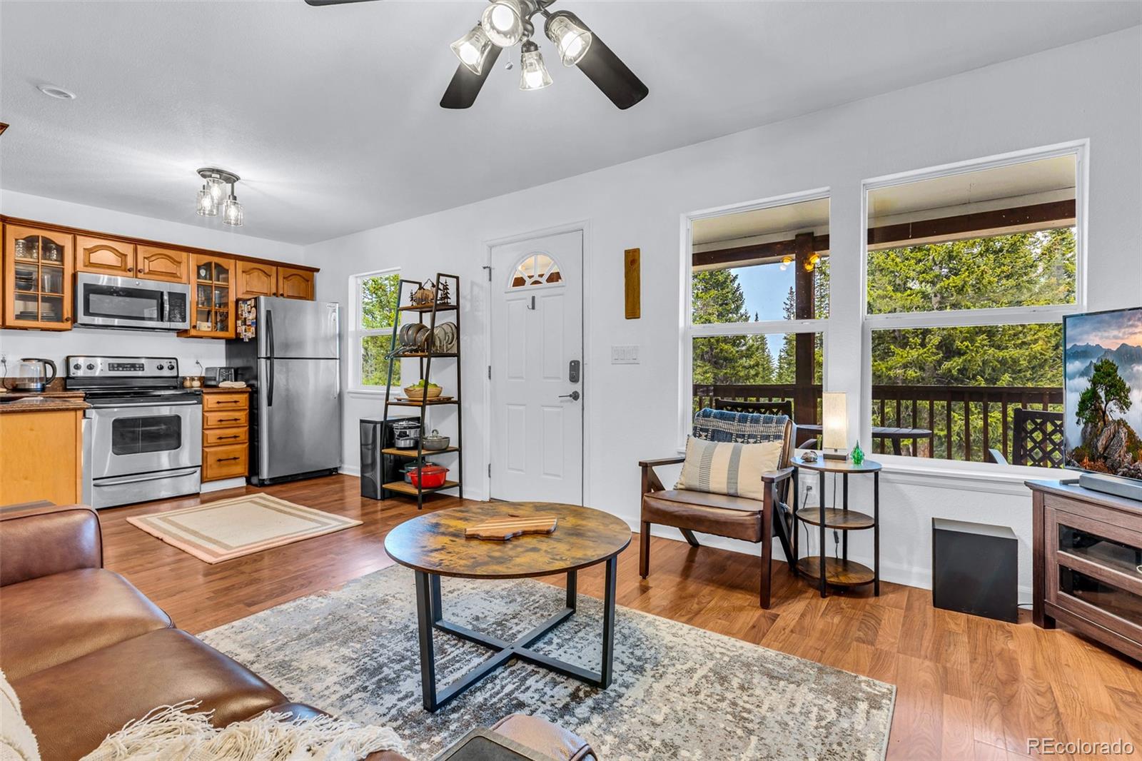 MLS Image #4 for 386  prunes place,fairplay, Colorado