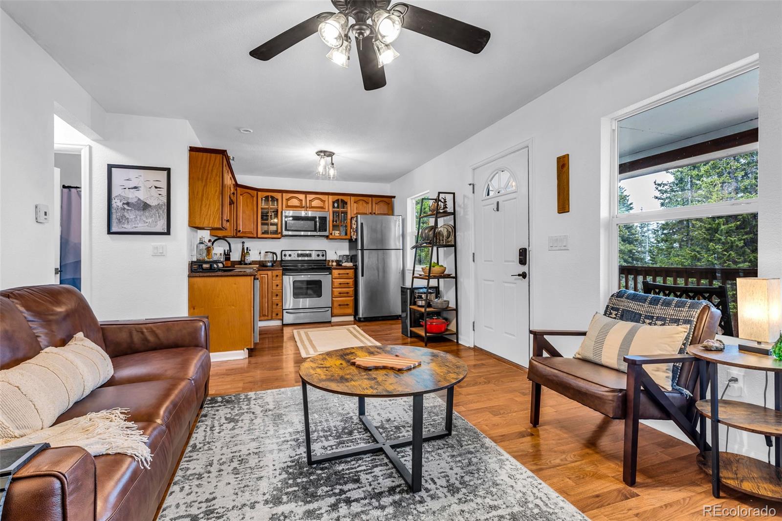 MLS Image #5 for 386  prunes place,fairplay, Colorado